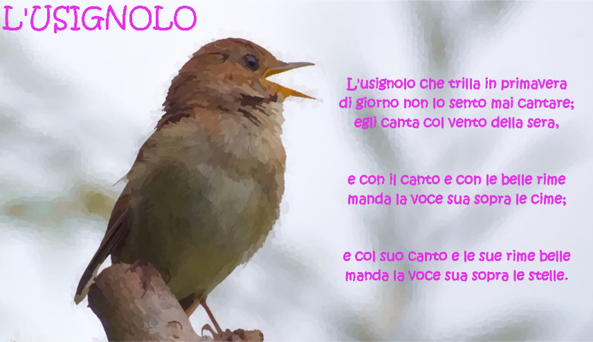 L'usignolo